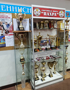 МУ ДО "СШОР Пахра", зал тяжелой атлетики в ЛД "Витязь" - фото 4