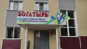 МБУ ДО "Спортивная школа олимпийского резерва "Богатырь" Арсеньевского городского округа - фото 1